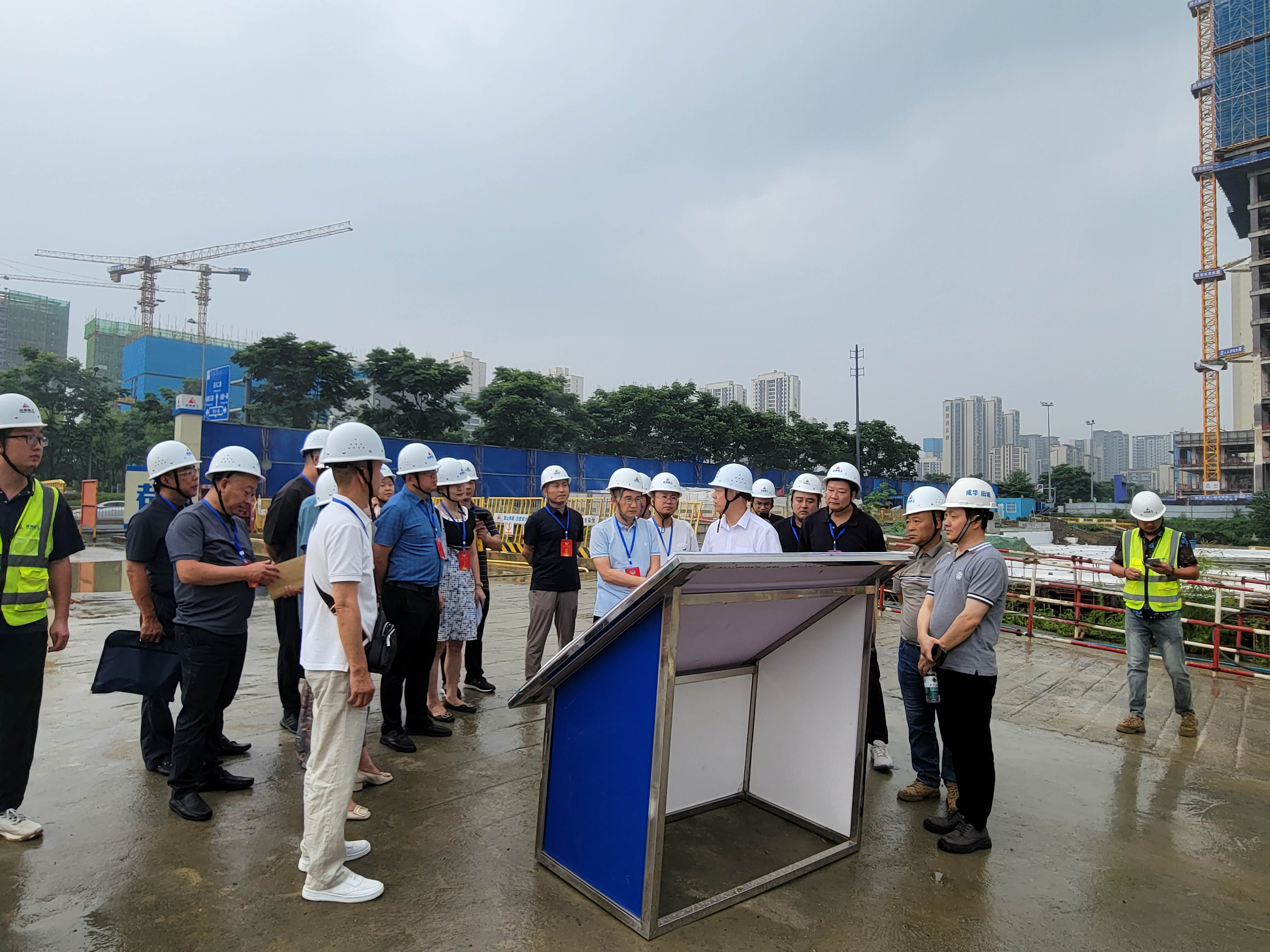 1719557030724013008.jpg 1719557030724013008.jpg