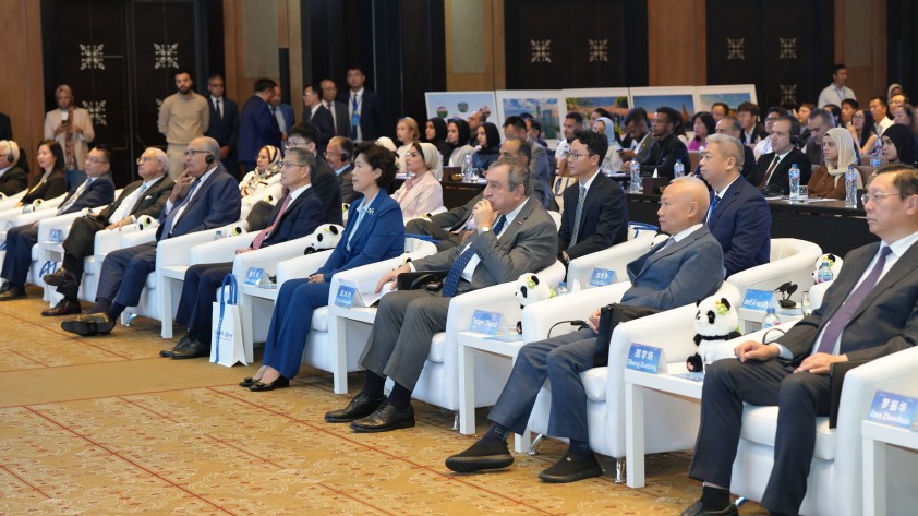 1762843607466018408.jpg 1.jpg